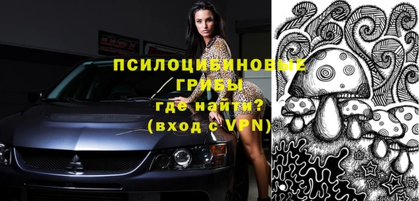 сатива Алапаевск