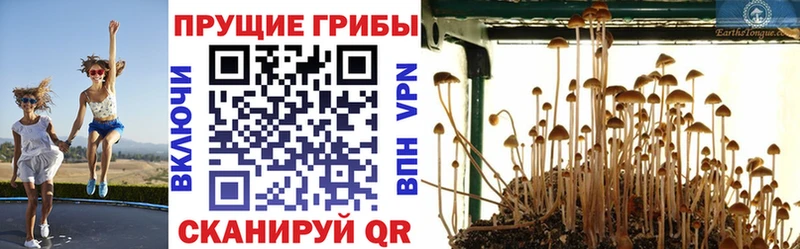 закладка  Хилок  Галлюциногенные грибы мухоморы 
